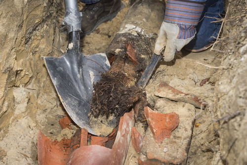 sewer-line-repair-vs-replacement-asheville